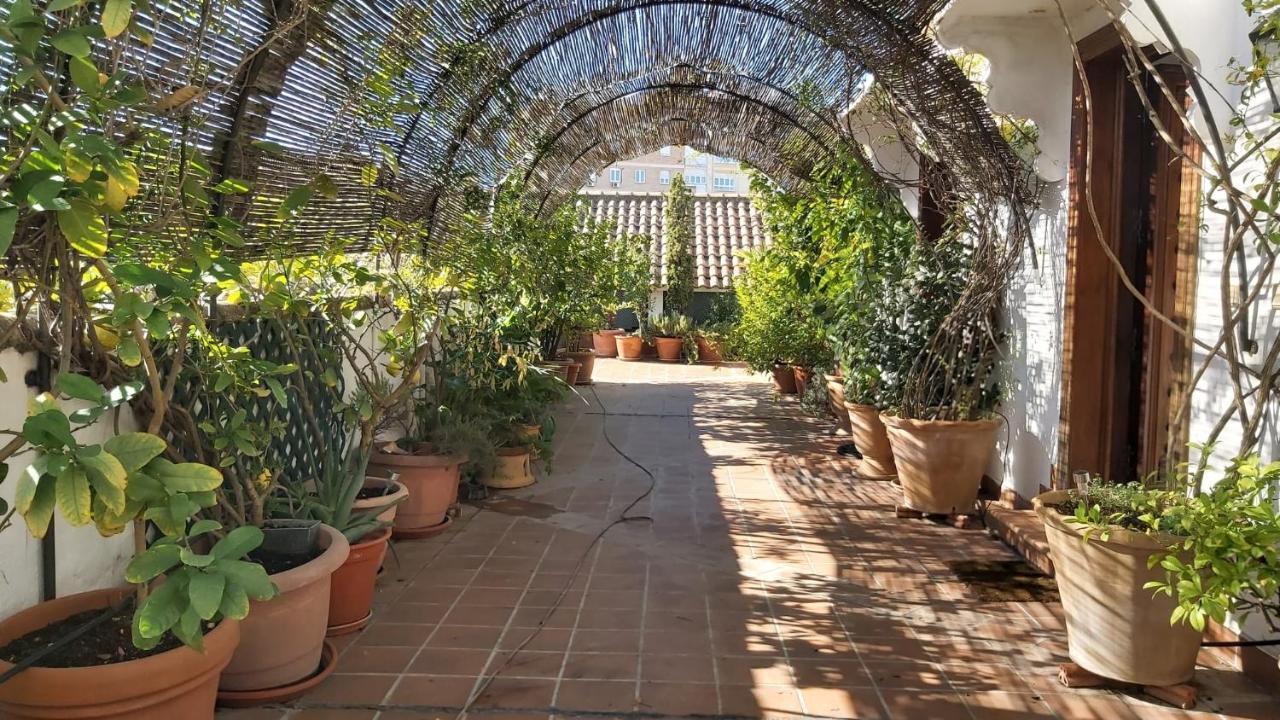 El Jardin De Wallada Cordoba Exterior photo
